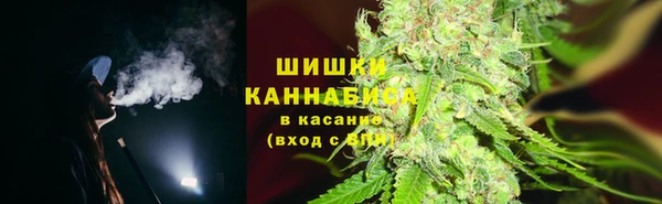 каннабис Богданович